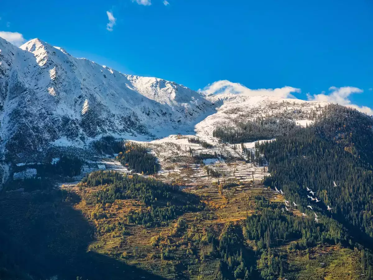 Himachal Pradesh's Narkanda